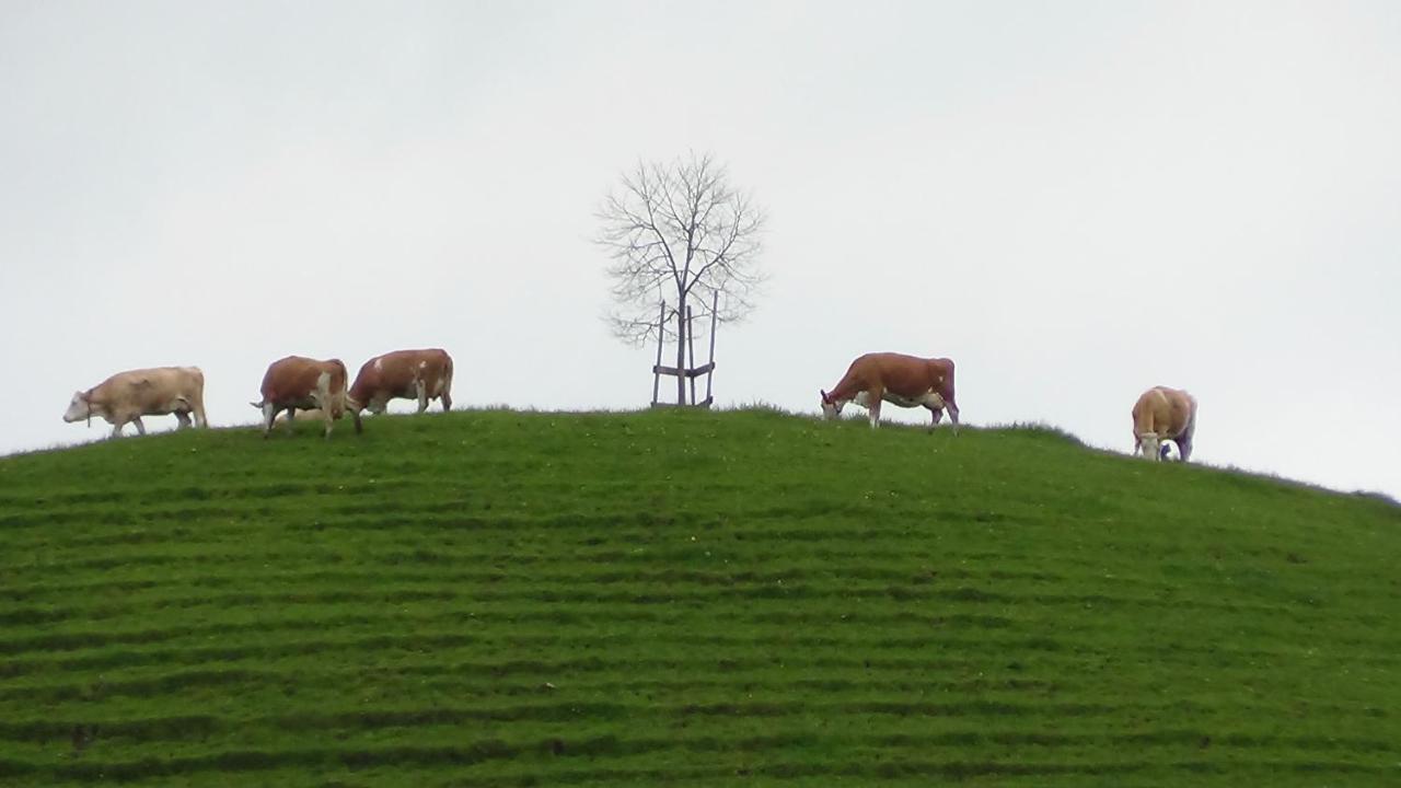 Ferienhof Krinde Ringoldswil 외부 사진